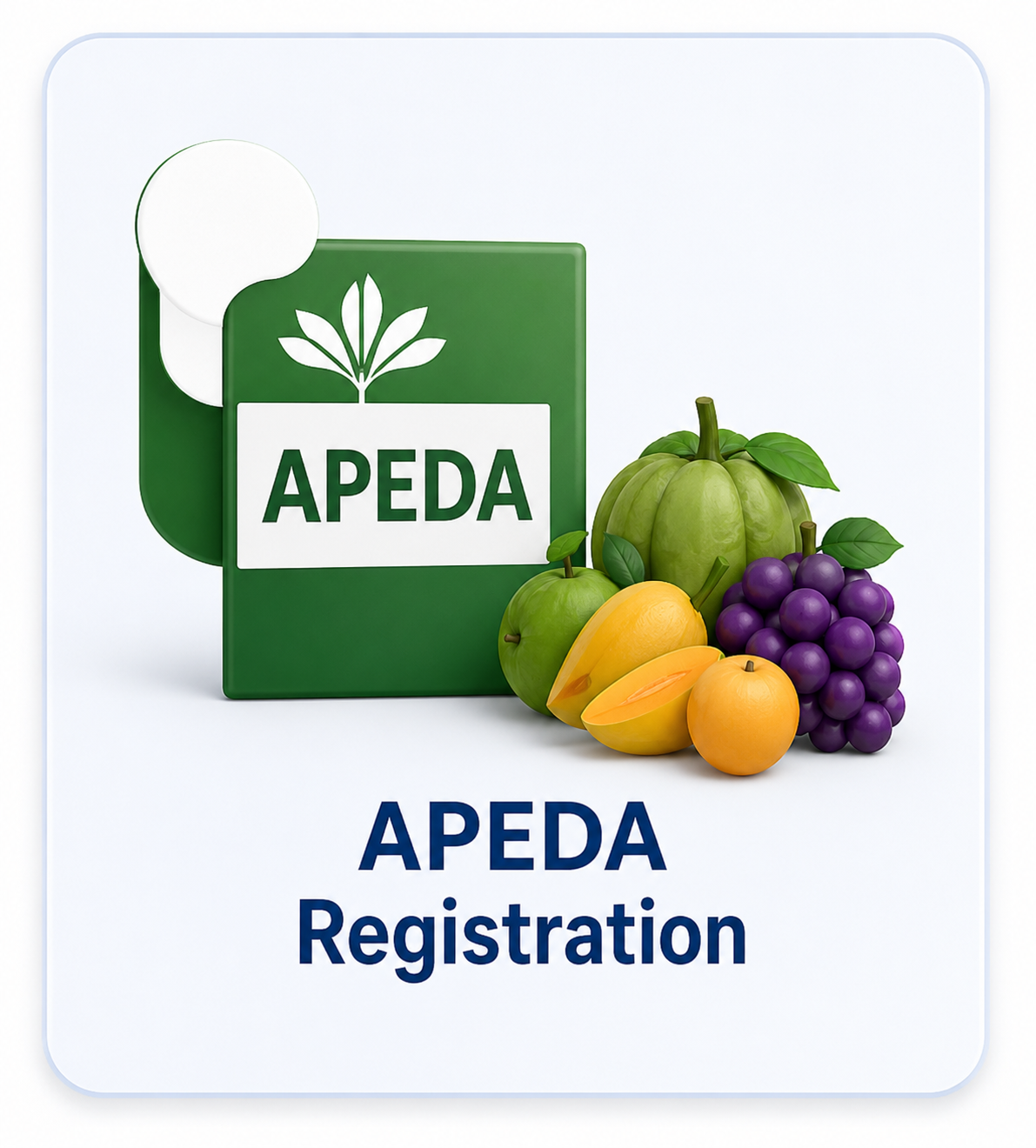 APEDA Registration